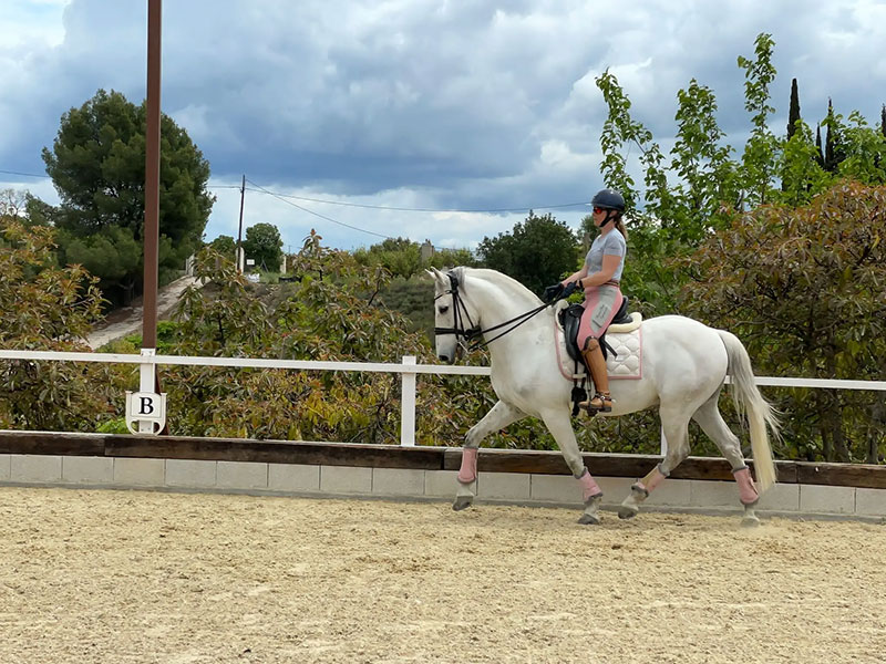 Moda ecuestre Bracomonte equestrian clothing for women marbella Moda ecuestre Bracomonte equestrian clothing for women marbella